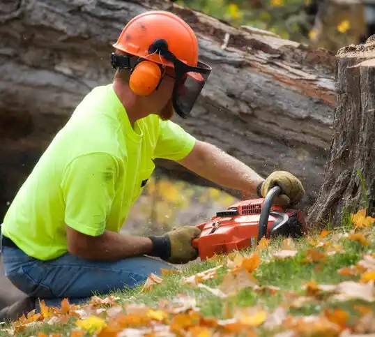 tree services Gordon